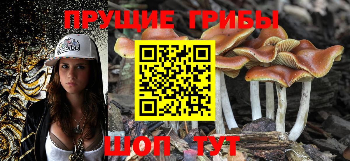 Галлюциногенные грибы MAGIC MUSHROOMS  Вход с VPN  Тейково 